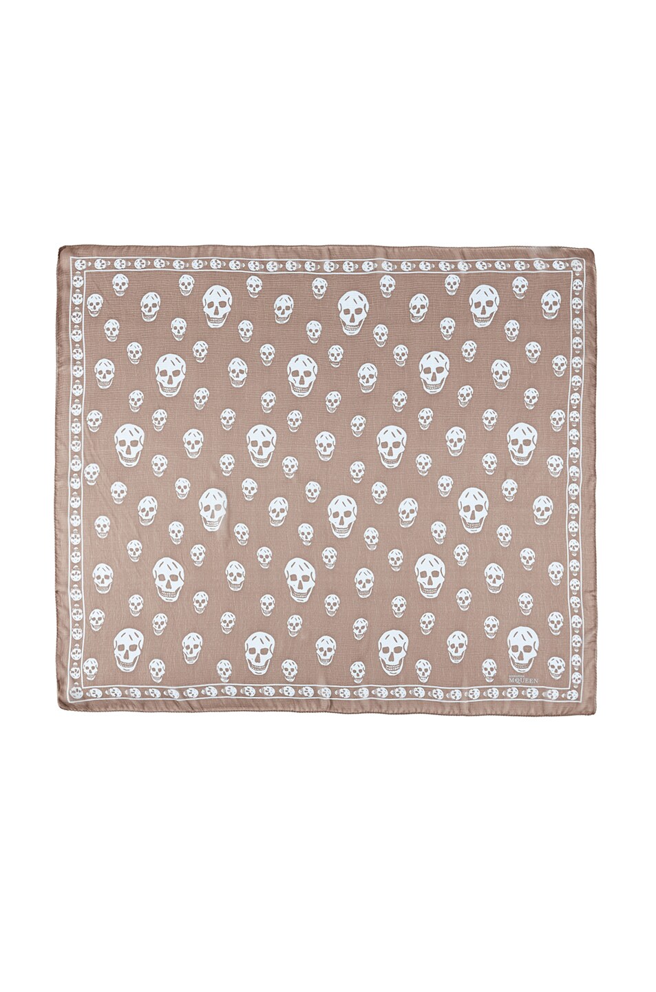 Image 1 of Alexander McQueen Chiffon Skull Scarf in Taupe & Sky Blue