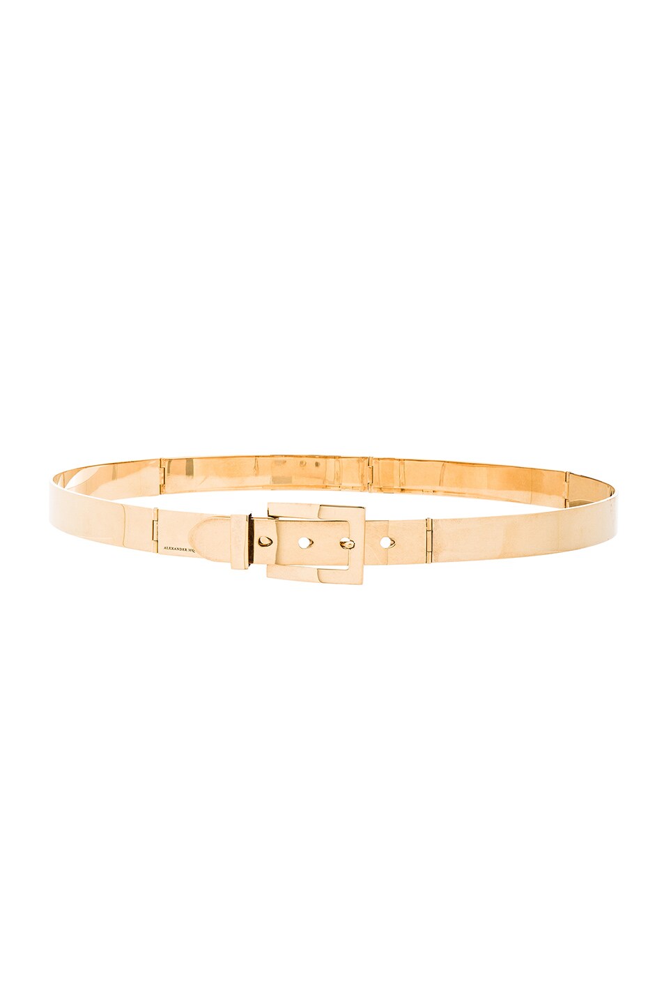 Image 1 of Alexander McQueen Chain Waist Belt in Gold