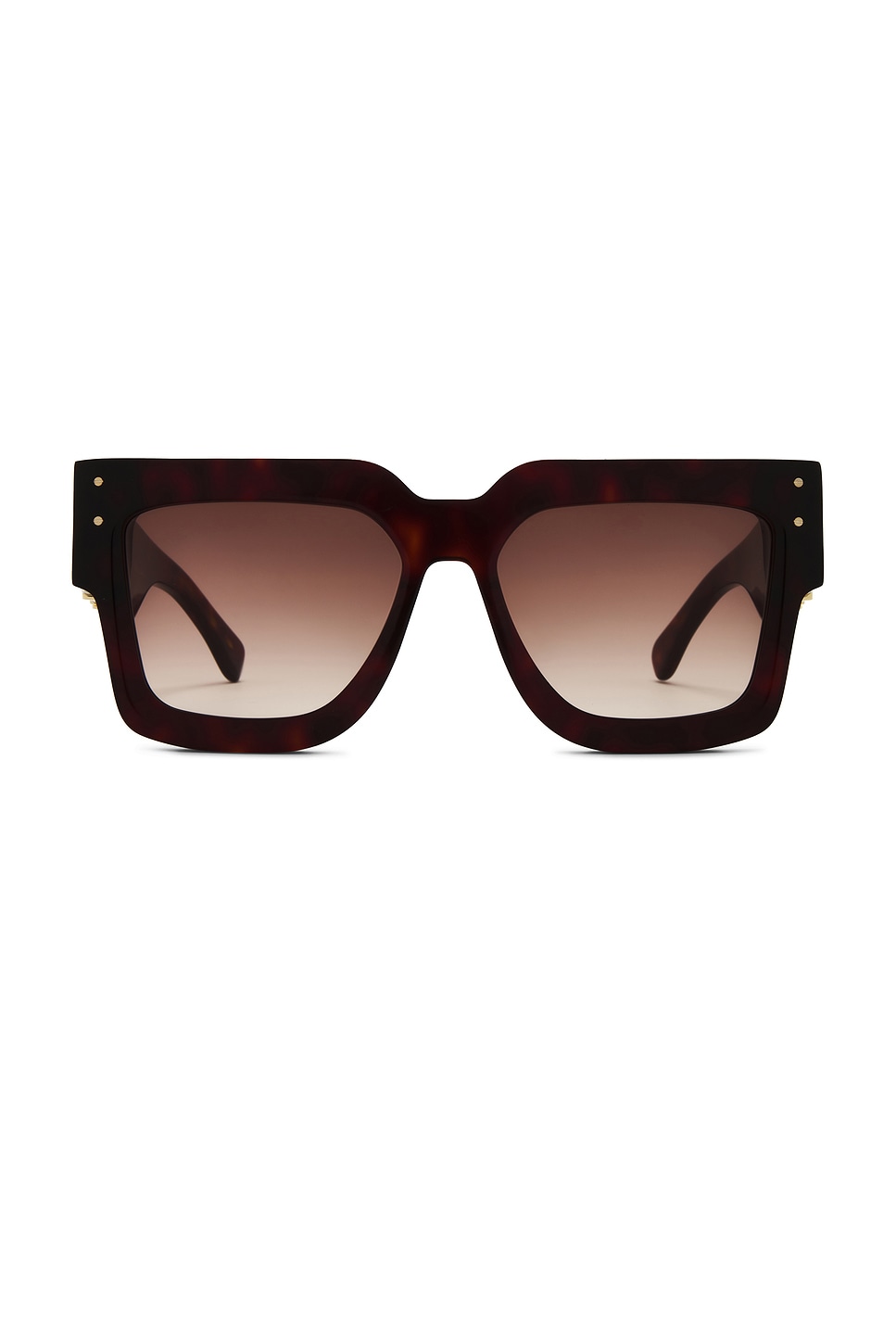 Jumbo MA Sunglasses in Brown