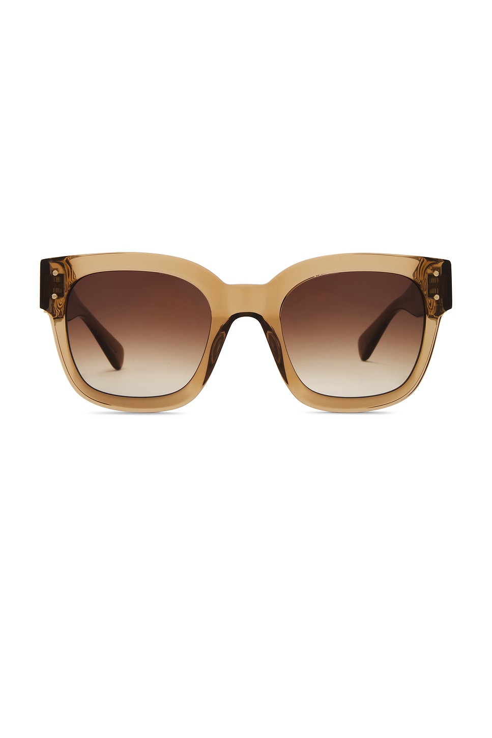 Classic MA Sunglasses in Brown