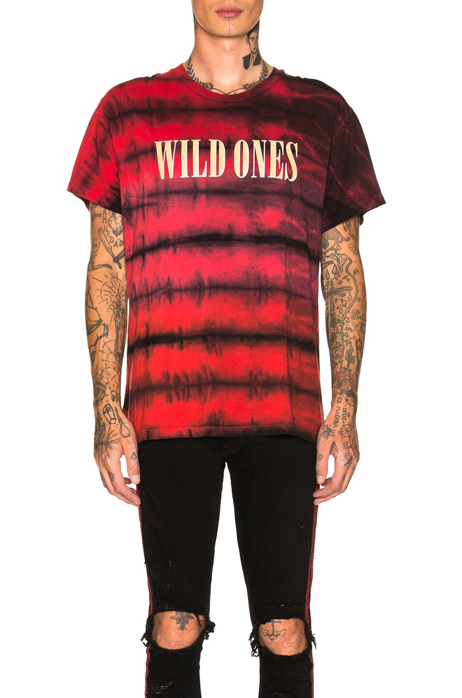 Image 1 of Amiri Wild Ones Tee in Red & Gold