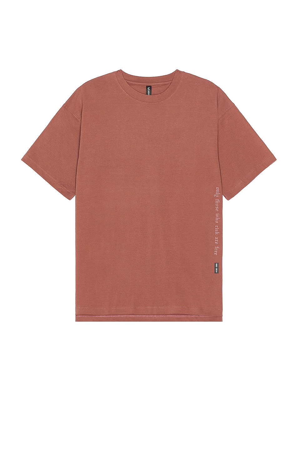 Image 1 of ASRV Cotton Plus Oversized Tee in Red Earth