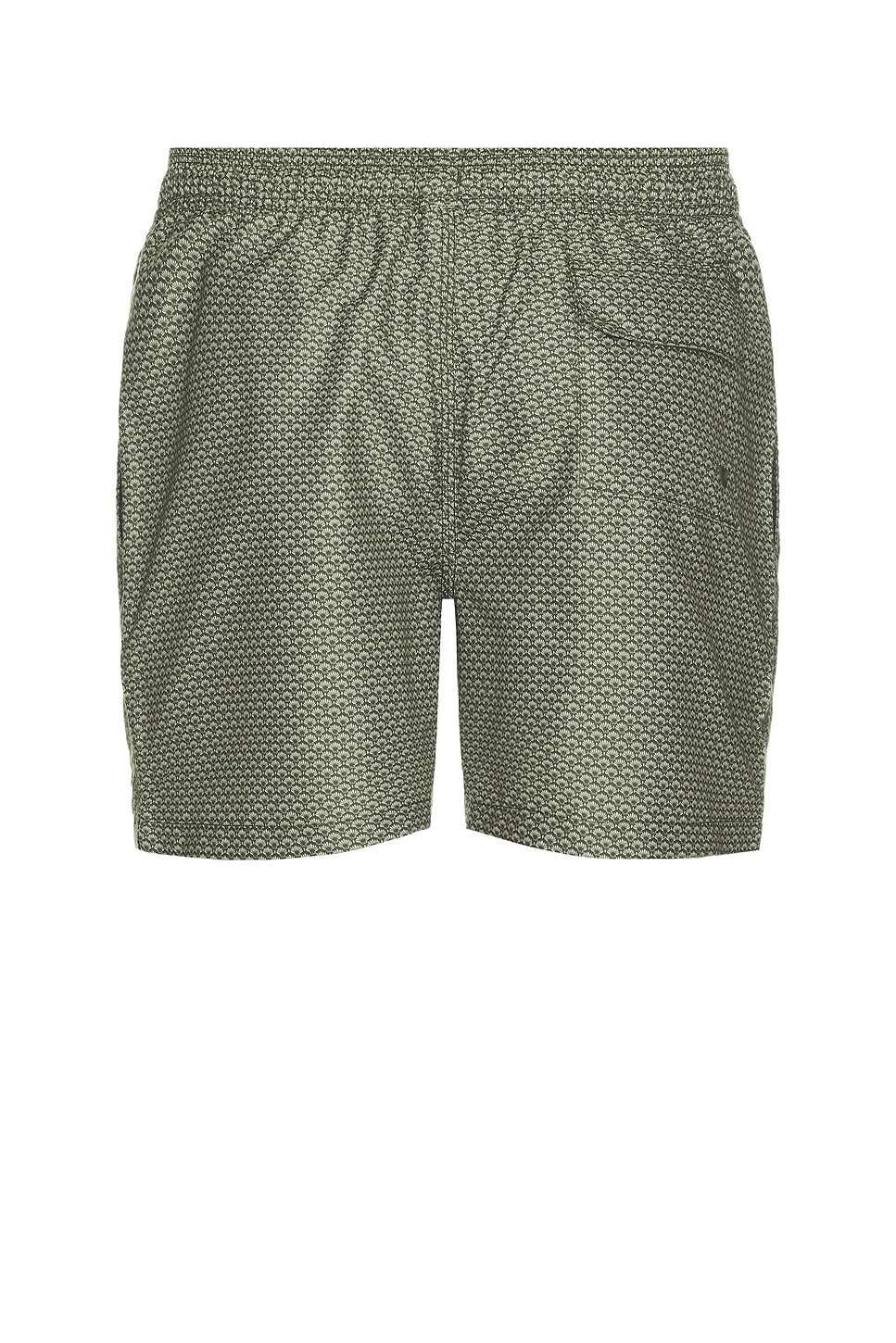 Barbour Shell Swim Short In Green