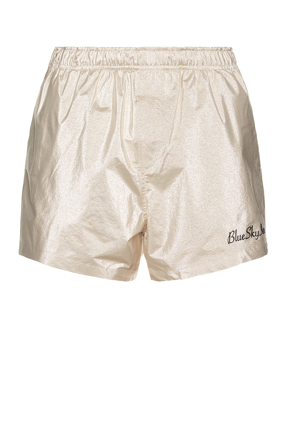 Image 1 of Blue Sky Inn Swim Shorts in Silver