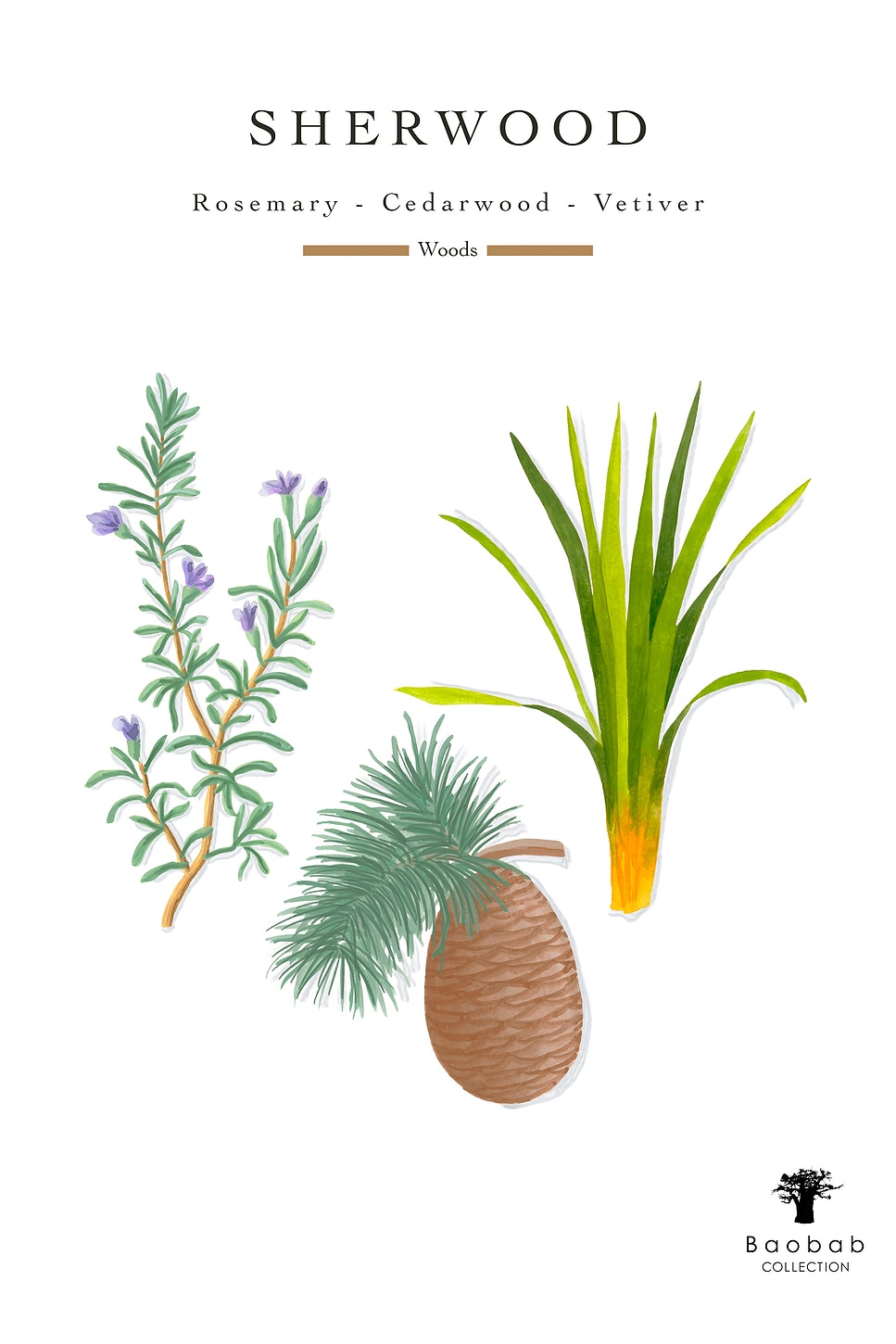 Baobab Collection Sherwood Max 10 Candle In Green