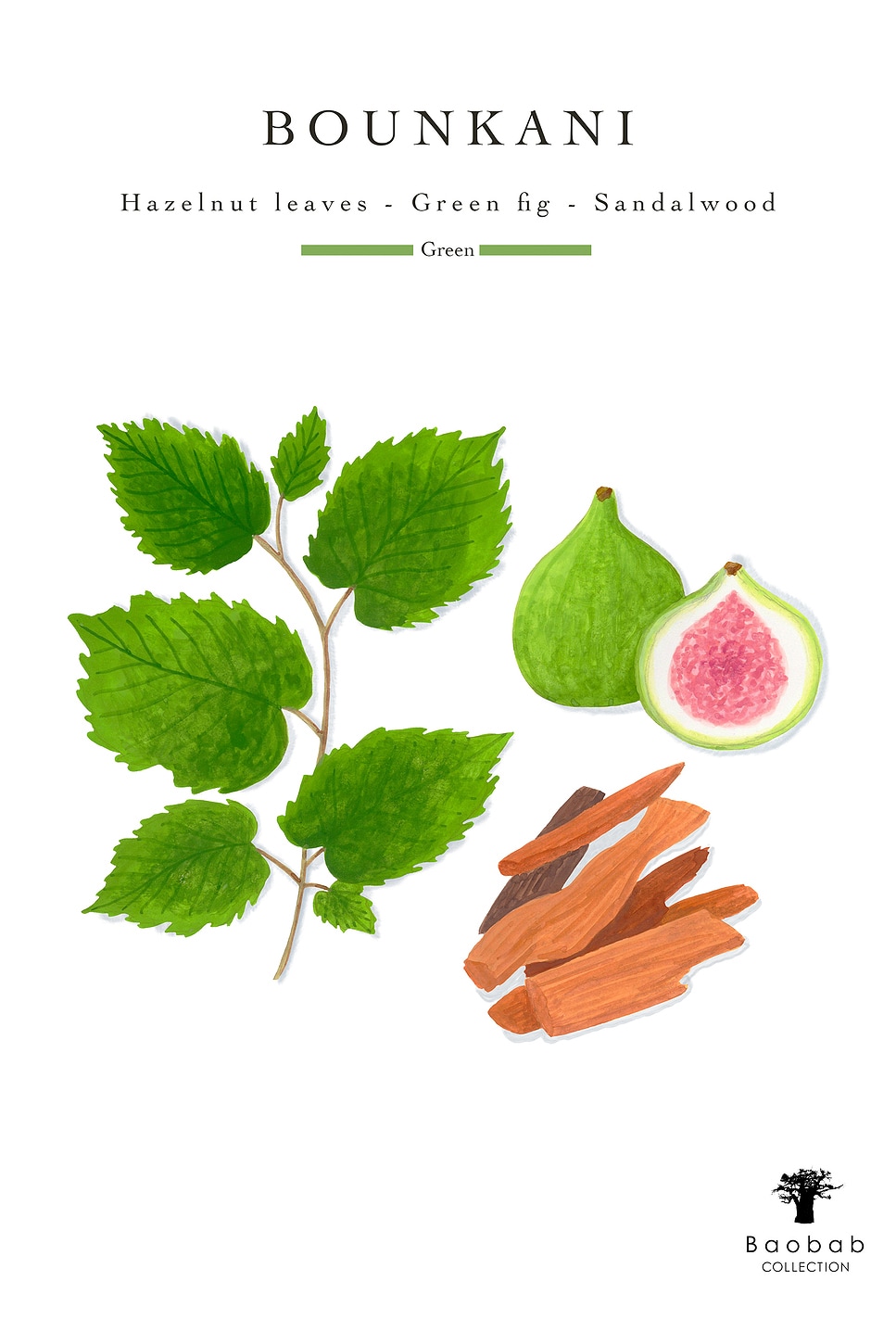 Baobab Collection Bounkani Max 10 Candle In Multi