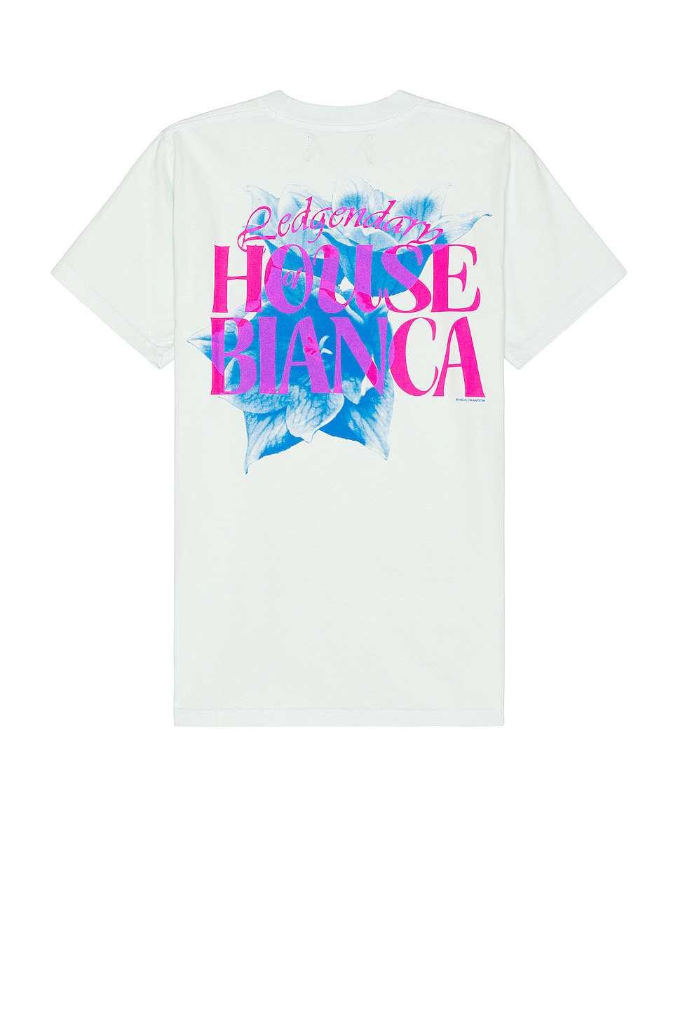 Image 1 of Bianca Chandon House Of Bianca Floral T-Shirt in Pale Blue