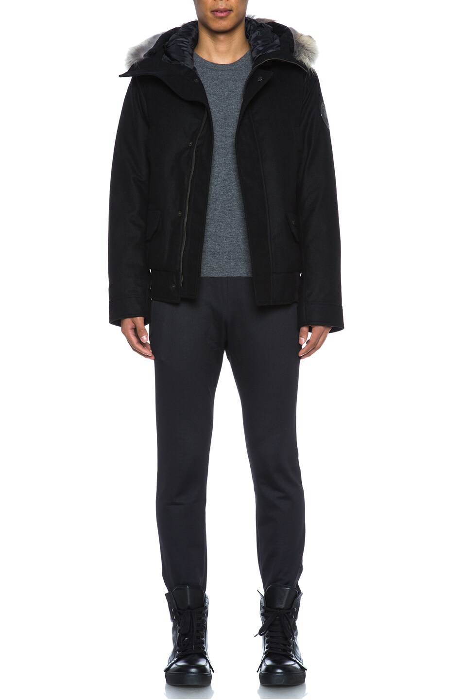 canada goose branta fernie canada goose branta fernie