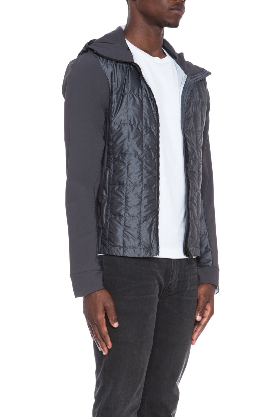 canada goose branta fernie canada goose branta fernie