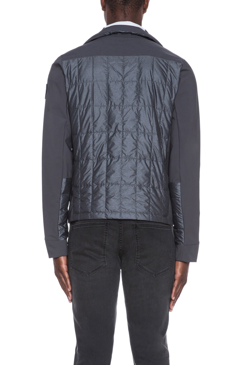 canada goose branta fernie canada goose branta fernie