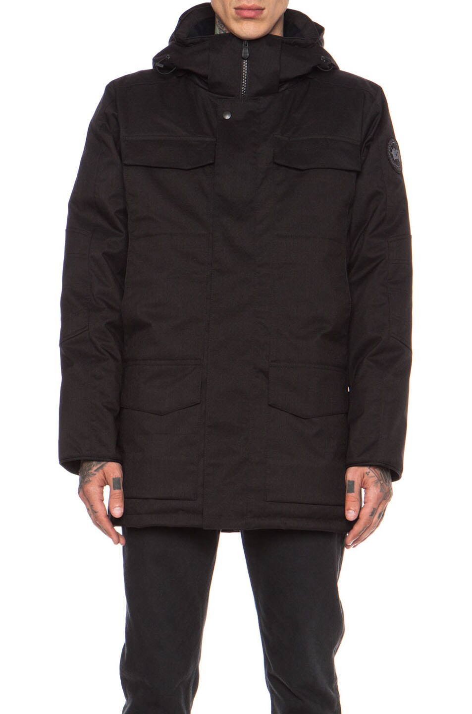 canada goose branta loro piana canada goose branta loro piana