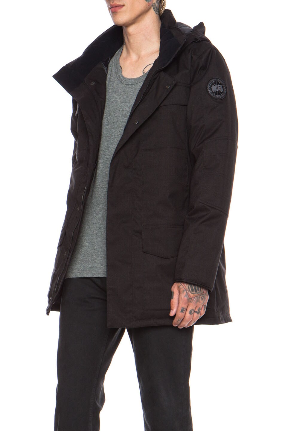 canada goose branta canada goose branta