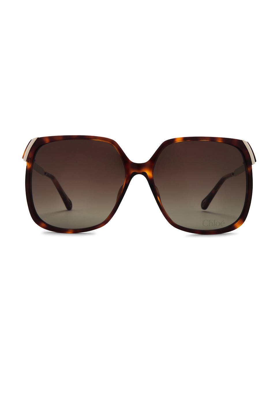 Aly Sunglasses in Brown