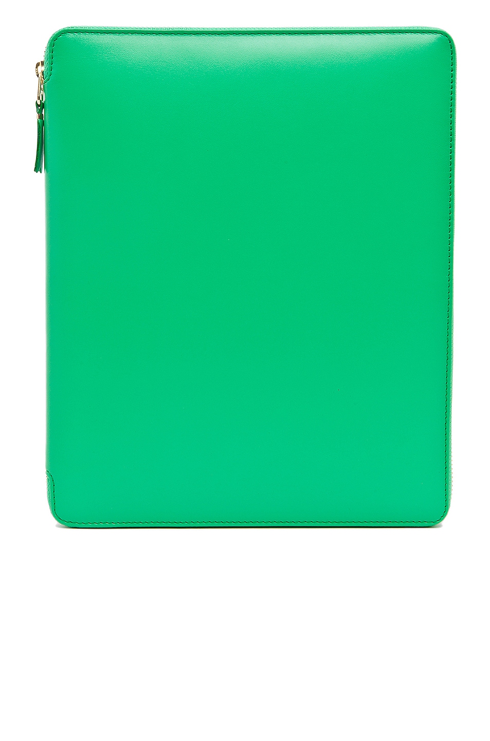 Classic iPad Case in Green
