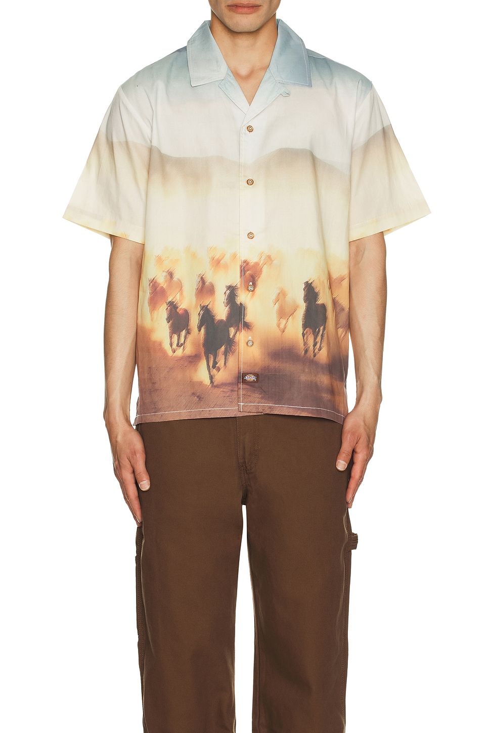 Image 1 of Dickies Running Wild Short Sleeve Shirt in Oak Buff