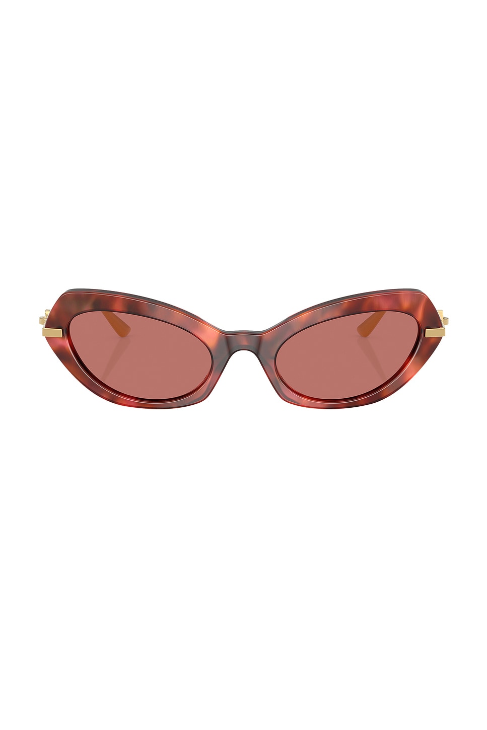 Cat Eye Sunglasses in Brown