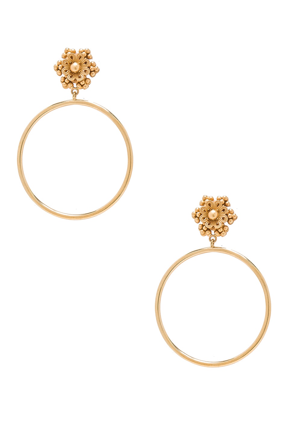Image 1 of Dolce & Gabbana Hoop Earrings in Gold