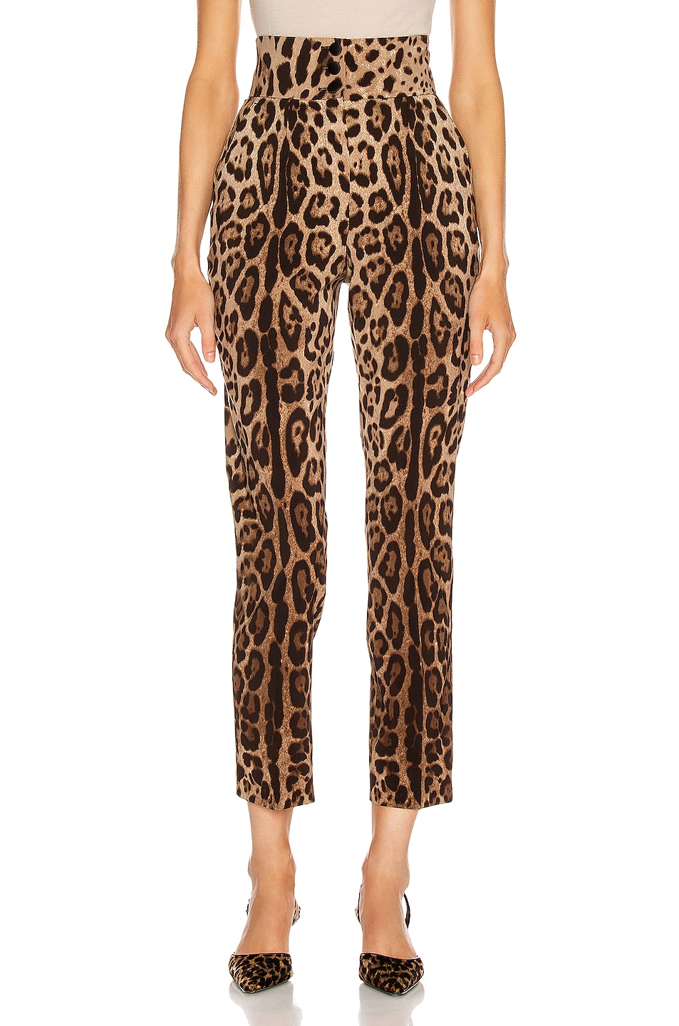 Image 1 of Dolce & Gabbana High Waisted Pant in Leopard