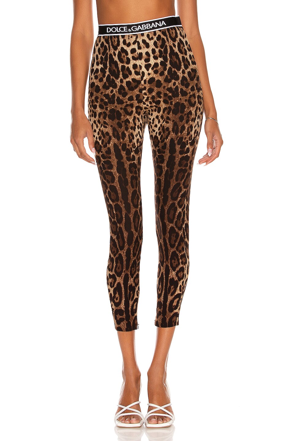 Image 1 of Dolce & Gabbana Elastic Waist Legging in Leopard