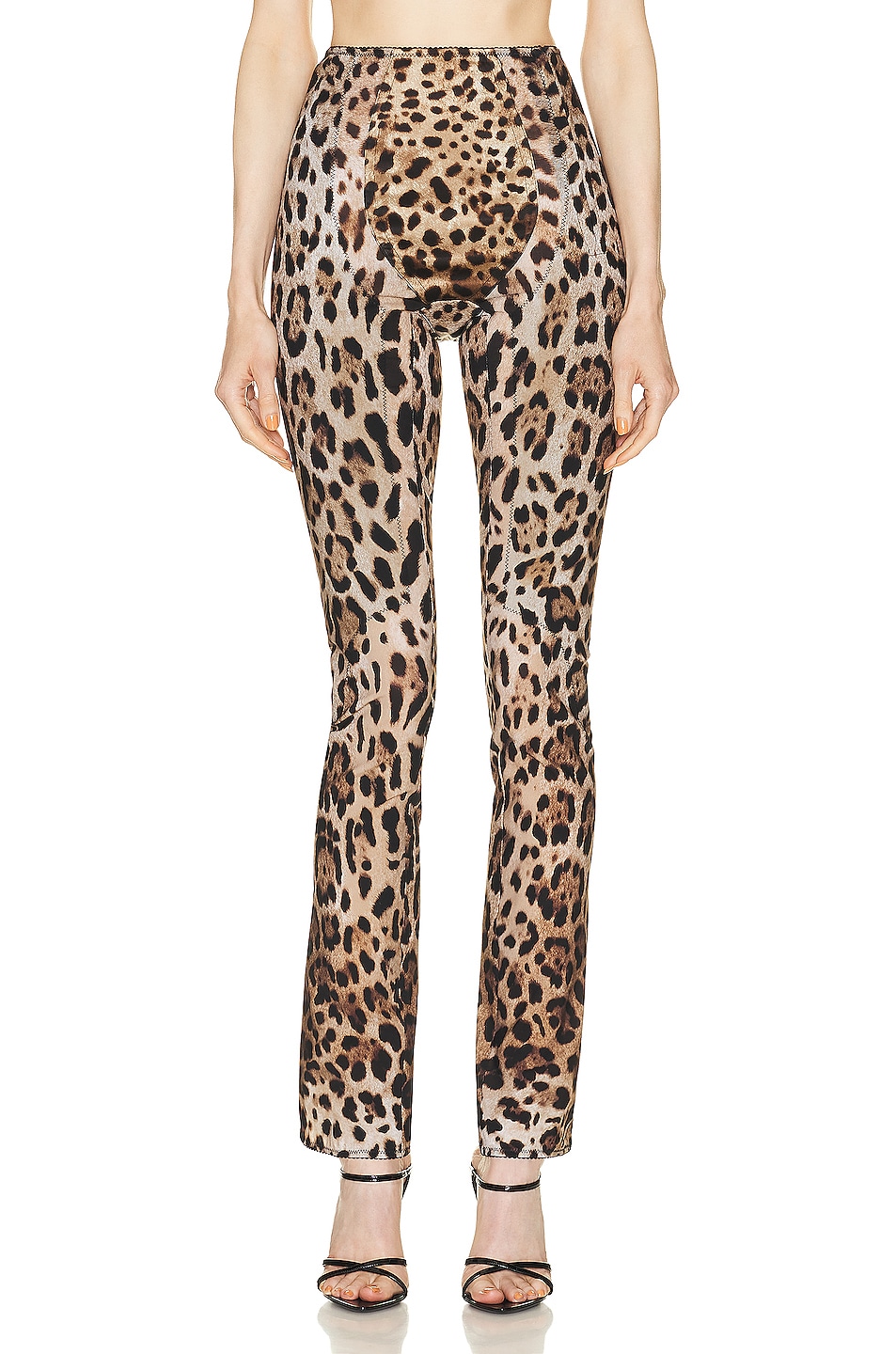 Image 1 of Dolce & Gabbana High Waisted Pant in Leo New