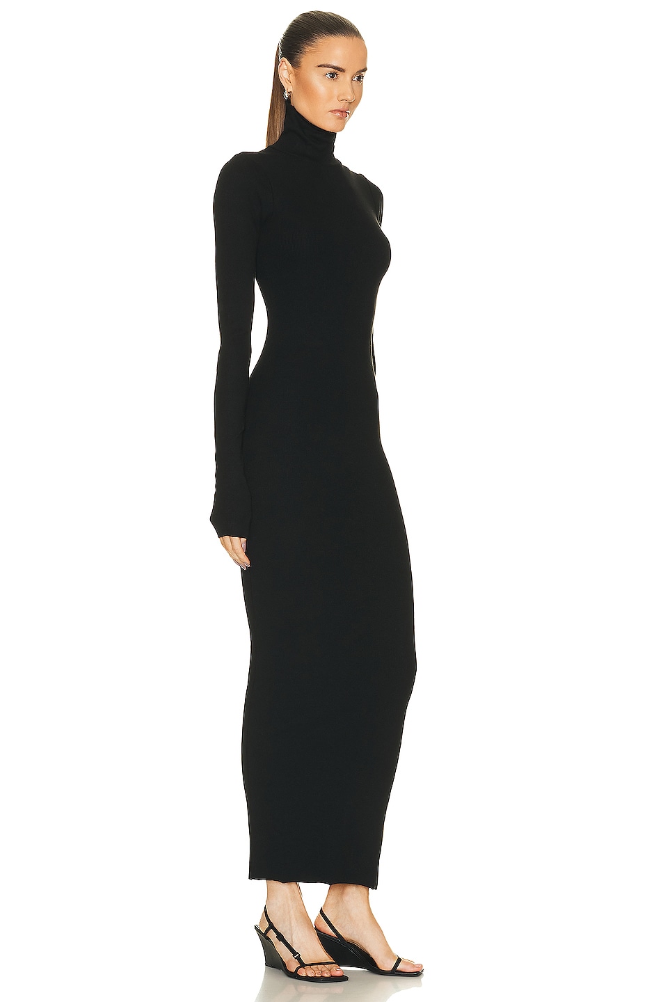 Eterne Long Sleeve Turtleneck Maxi Dress in Black | FWRD