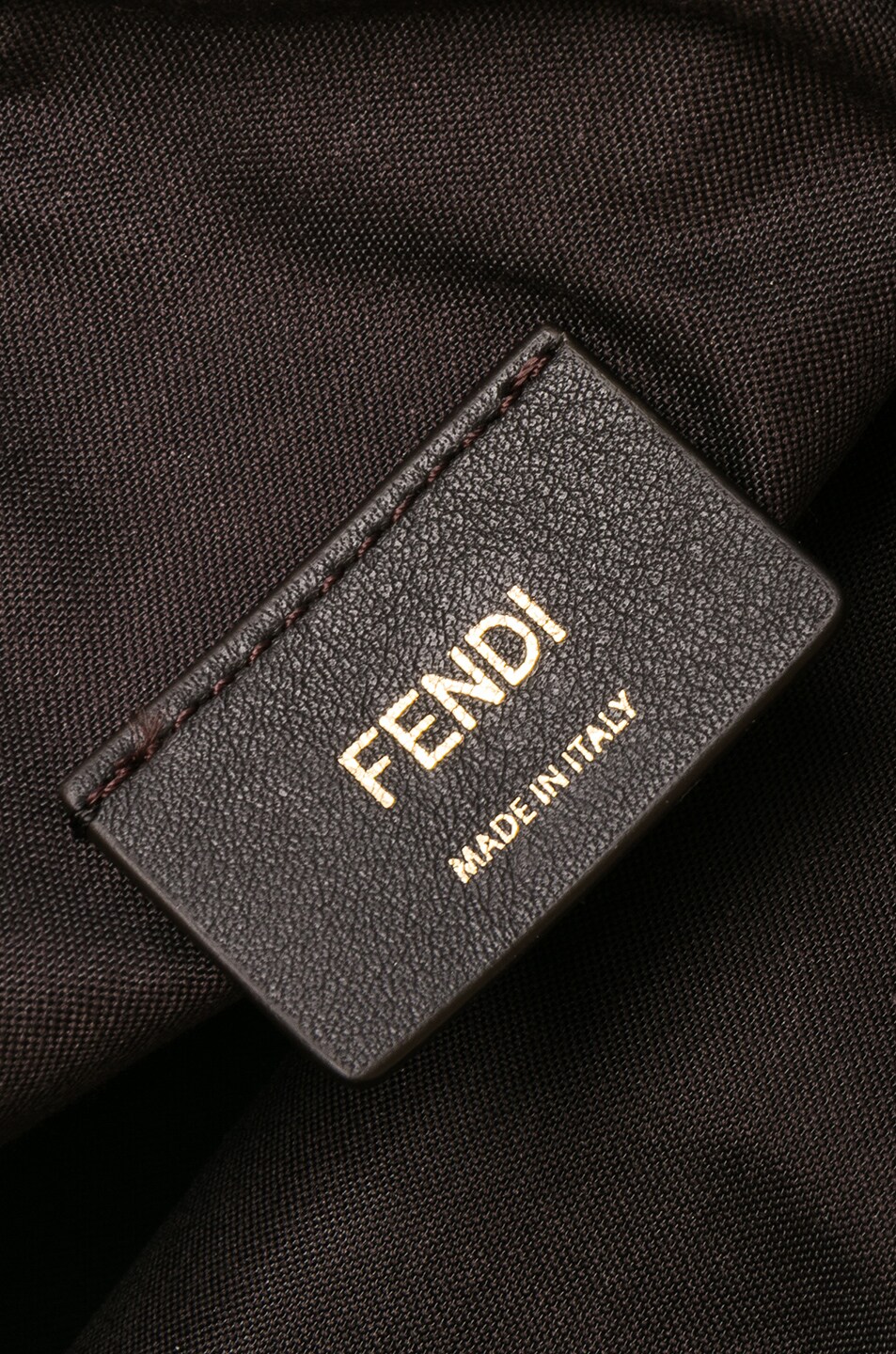 Fendi Mini Logo Emblem Camera Case in Camelia, Brown & Iris | FWRD