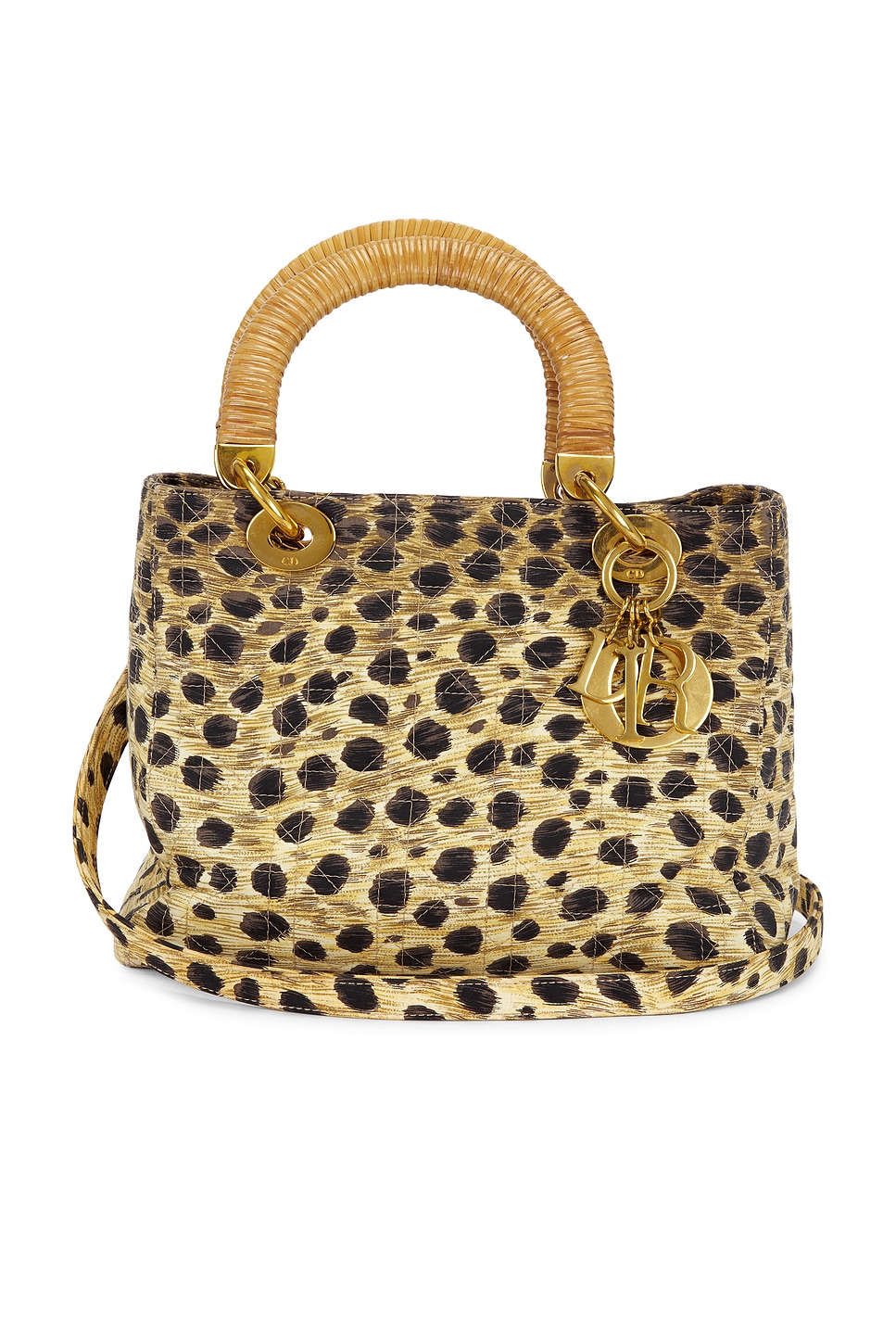 dior Dior Leopard Lady Dior Handbag