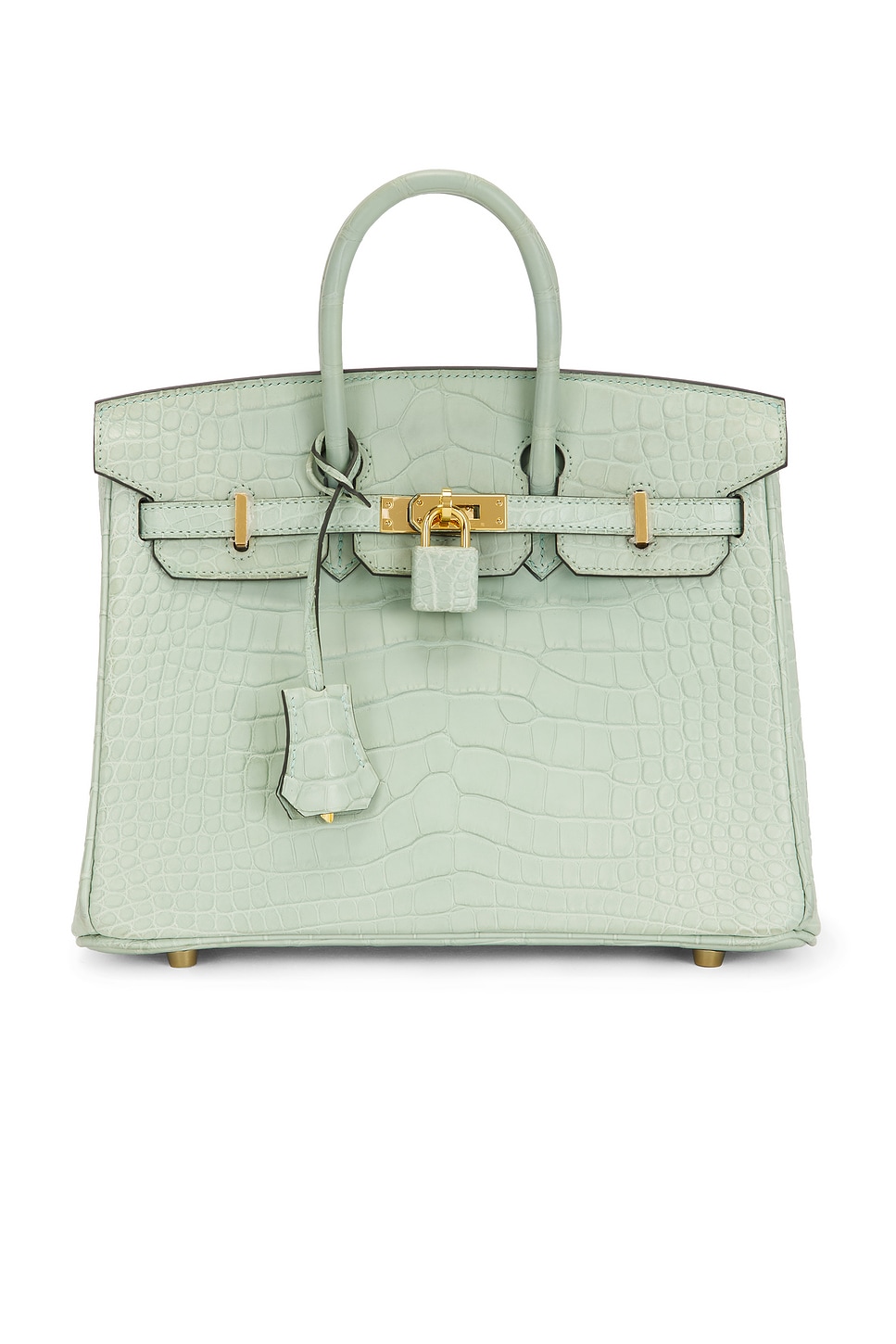 HERMÈS Hermes Matte Alligator Birkin 25 Handbag