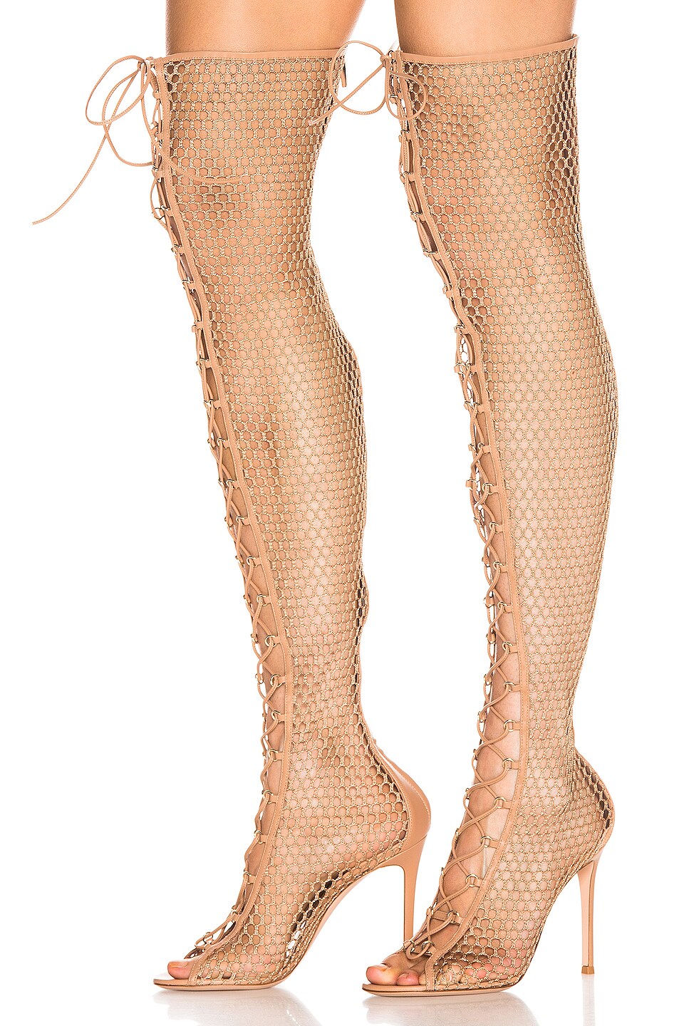 Image 1 of Gianvito Rossi Helena Knee Lace Up Boot in Praline