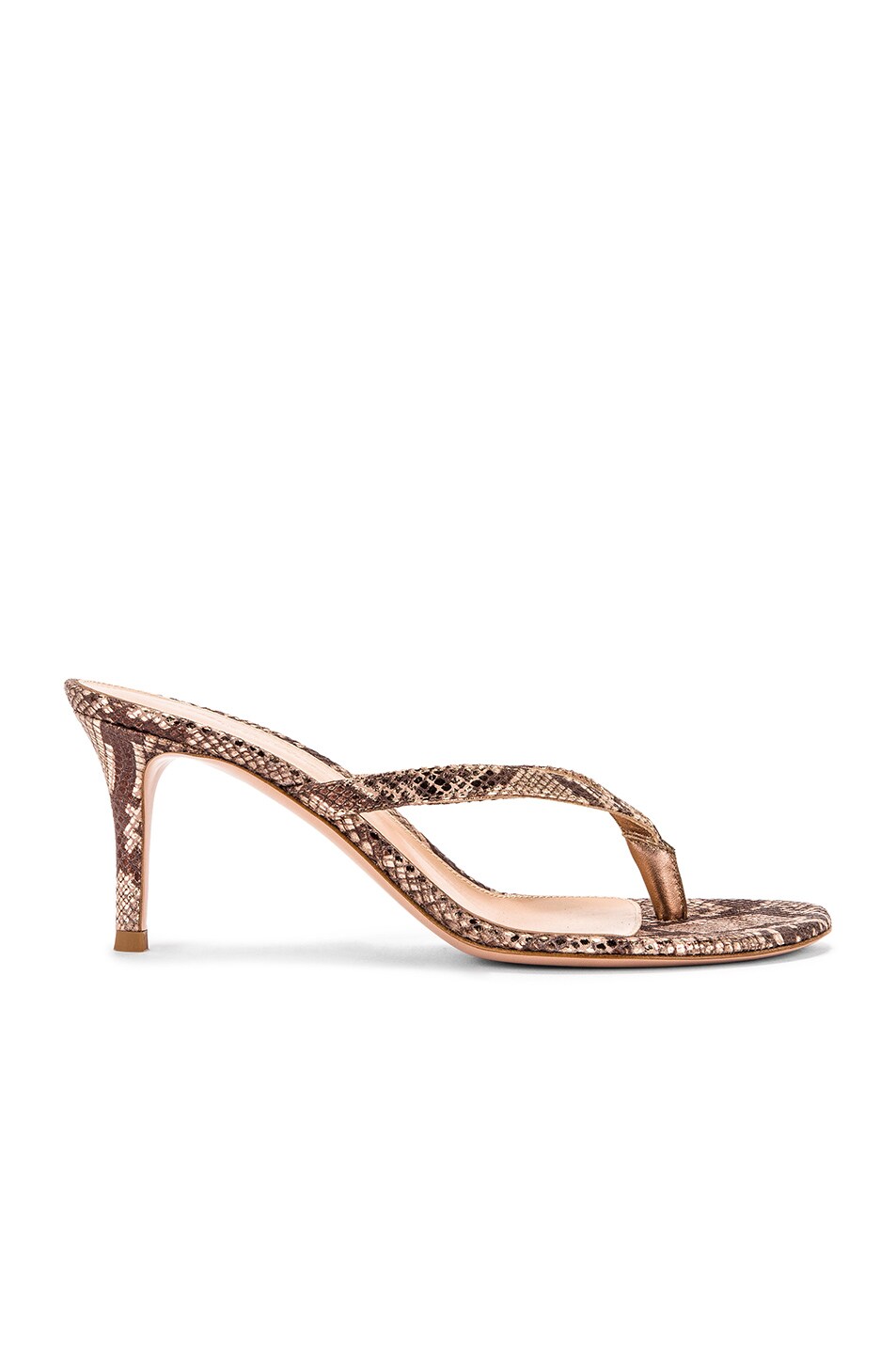 Image 1 of Gianvito Rossi Dallas Thong Sandals in Praline