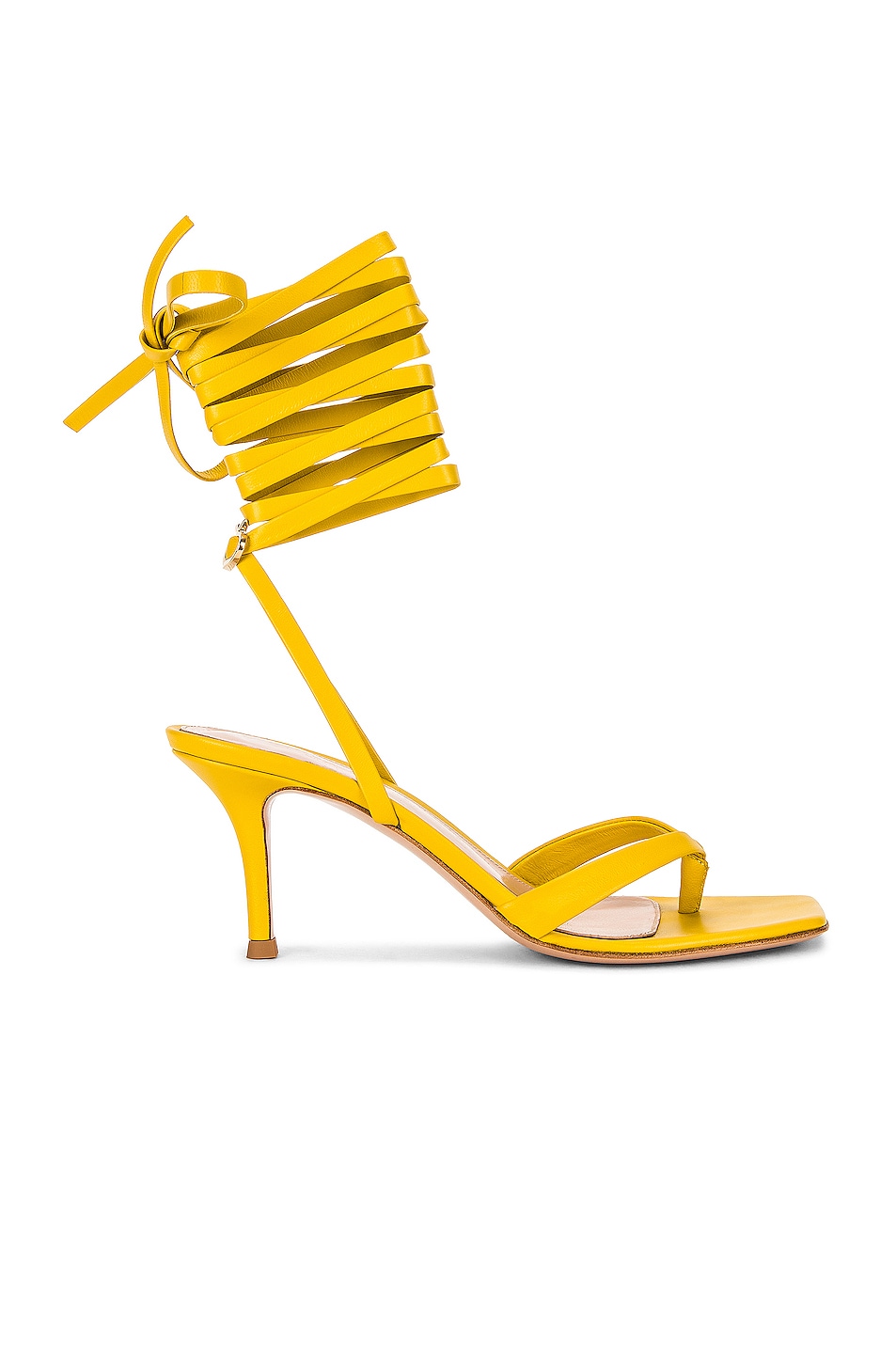 Image 1 of Gianvito Rossi Ribbon Gladiator Sandals in Mimosa