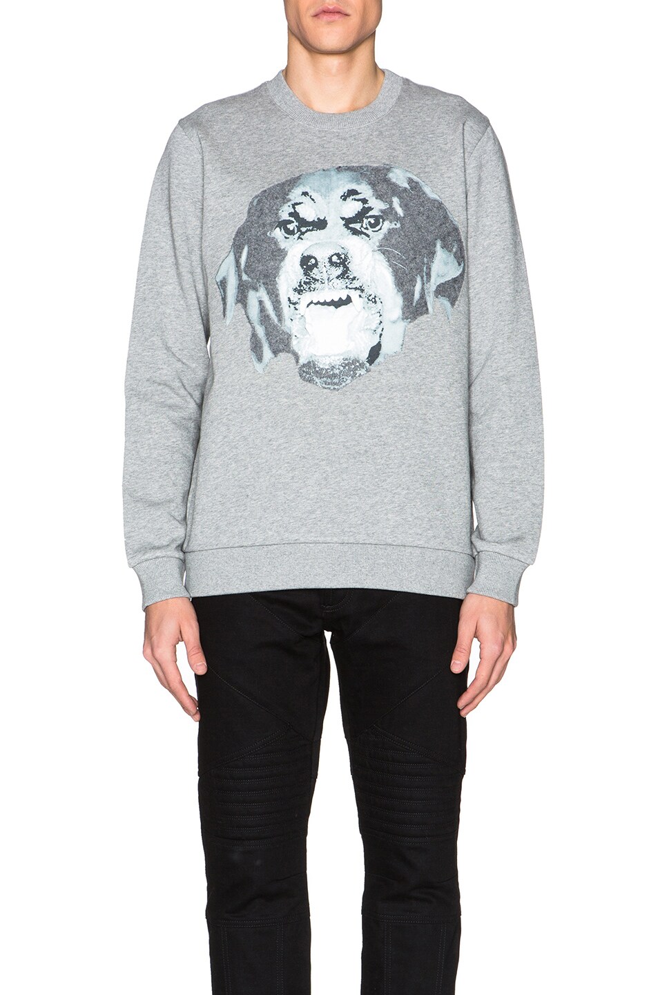 Image 1 of Givenchy Cuban Fit Rottweiler Sweatshirt in Pearl Grey