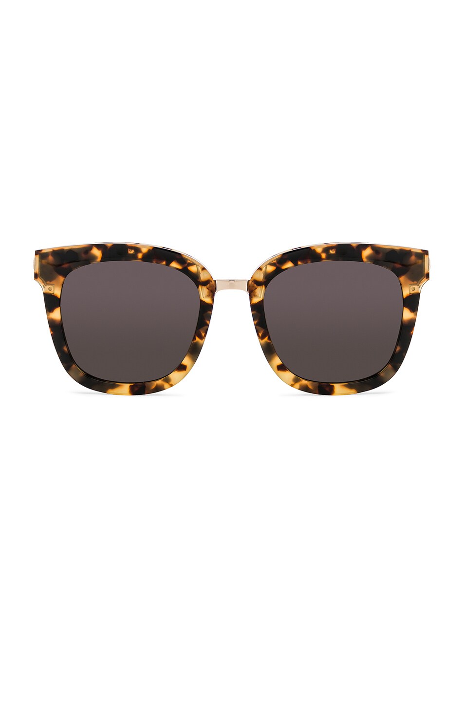Image 1 of Gentle Monster Button Sunglasses in Tortoise