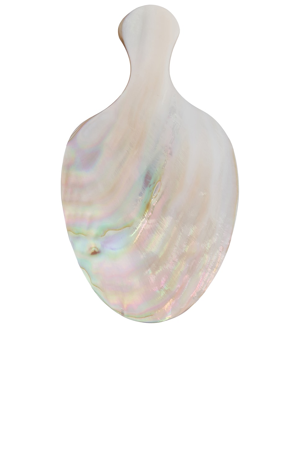 Gohar World Mother Of Pearl Scoop In Burgundy
