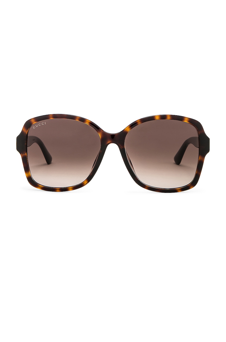 Image 1 of Gucci Logo Acetate Sunglasses in Shiny Dark Havana & Brown