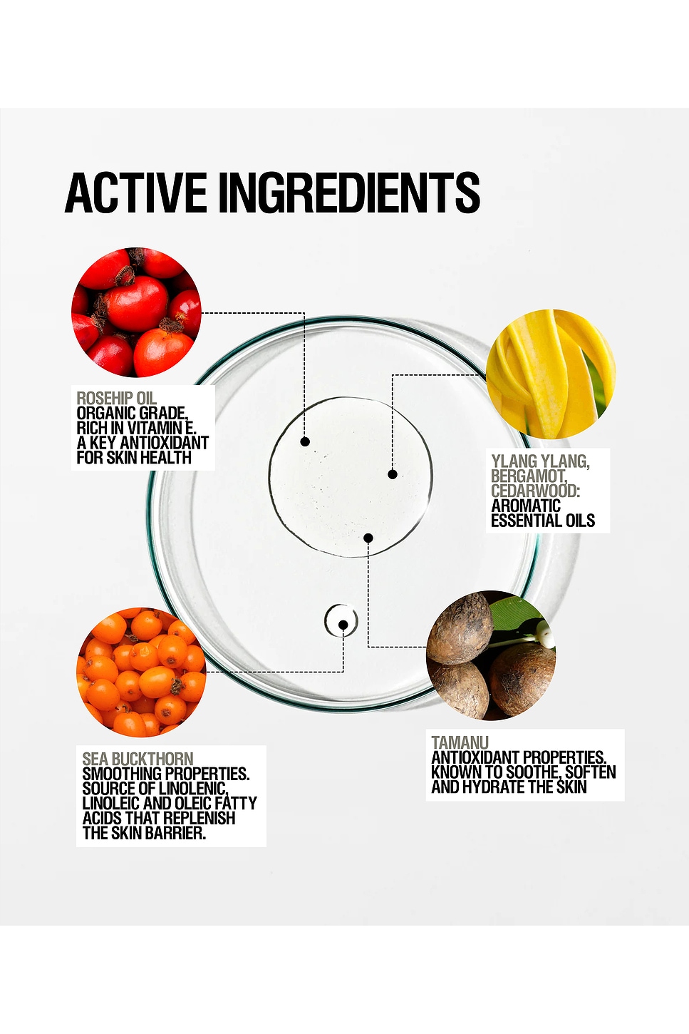 Grown Alchemist Restorative Body Oil In Brown