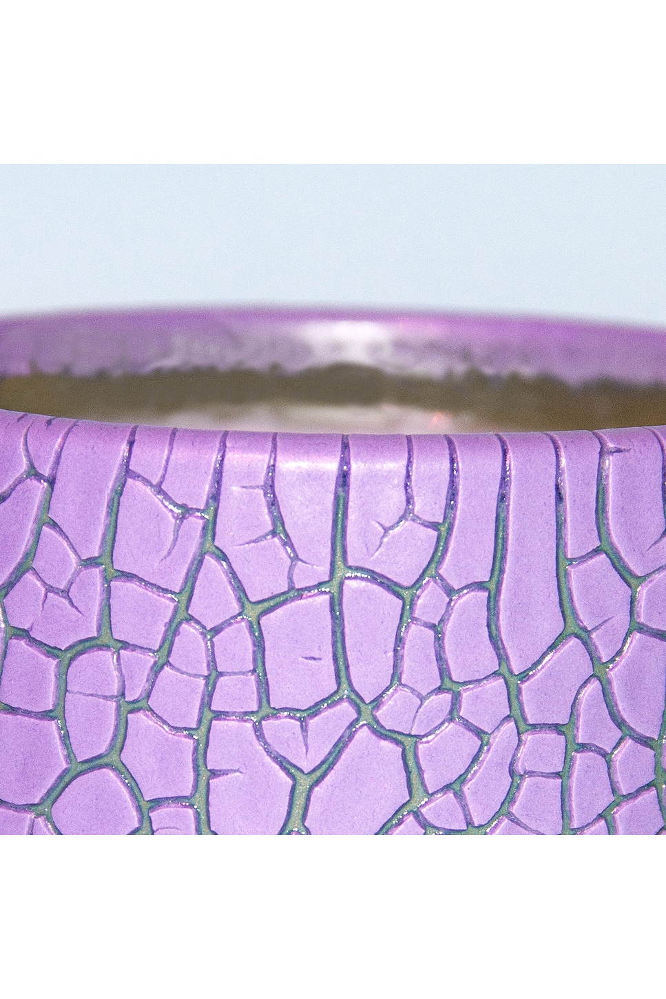Image 1 of Houseplant Crackle Candle in 