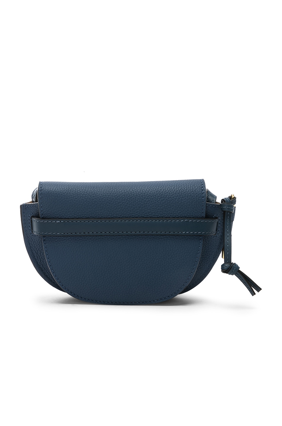 Loewe Gate Bag Size Comparison IUCN Water