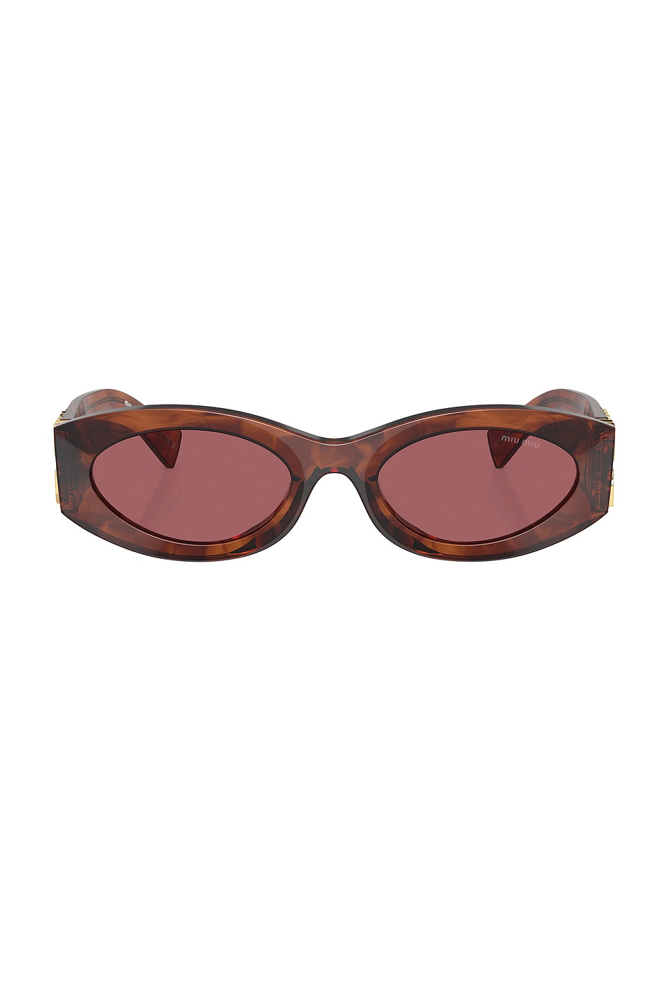 Oval Sunglasses in Brown