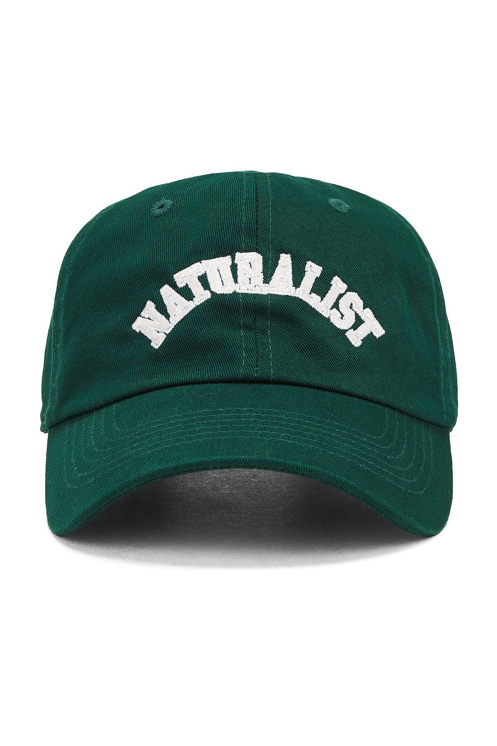 Naturalist Dad Hat in Green