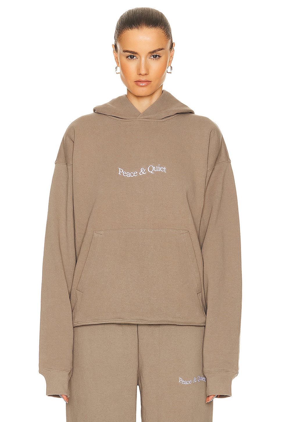 Image 1 of Museum of Peace and Quiet Wordmark Hoodie in Clay