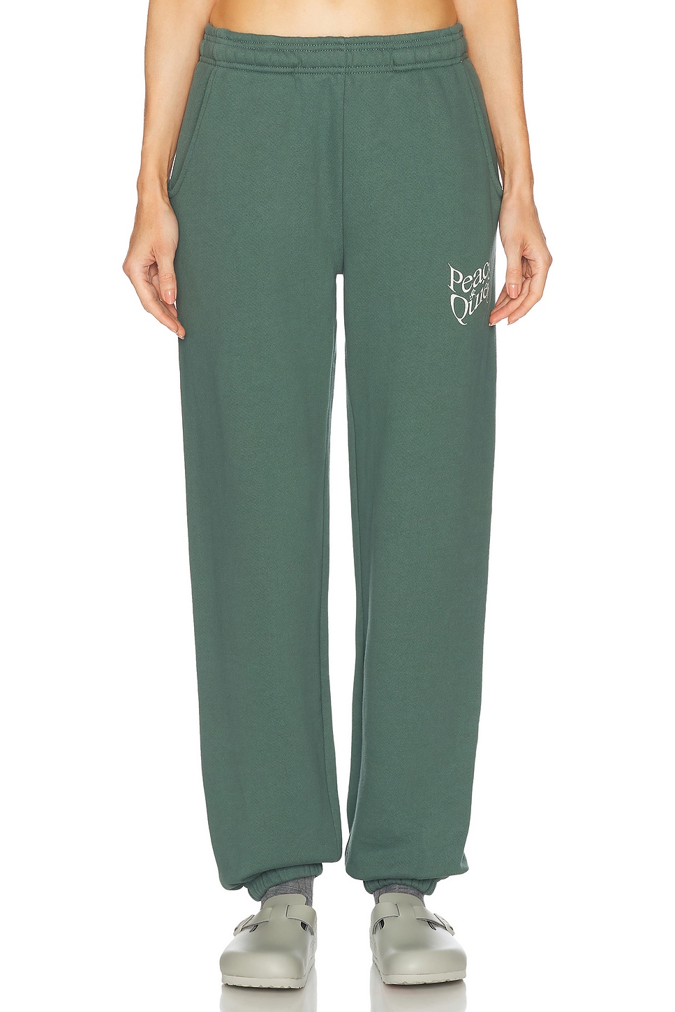 Image 1 of Museum of Peace and Quiet Warped Sweatpants in Fern