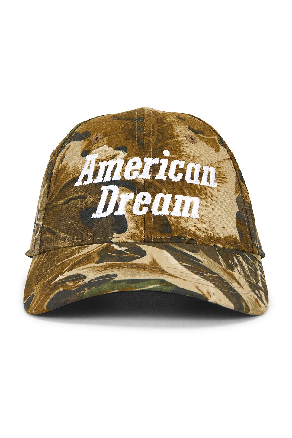 ONE OF THESE DAYS American Dream Hat