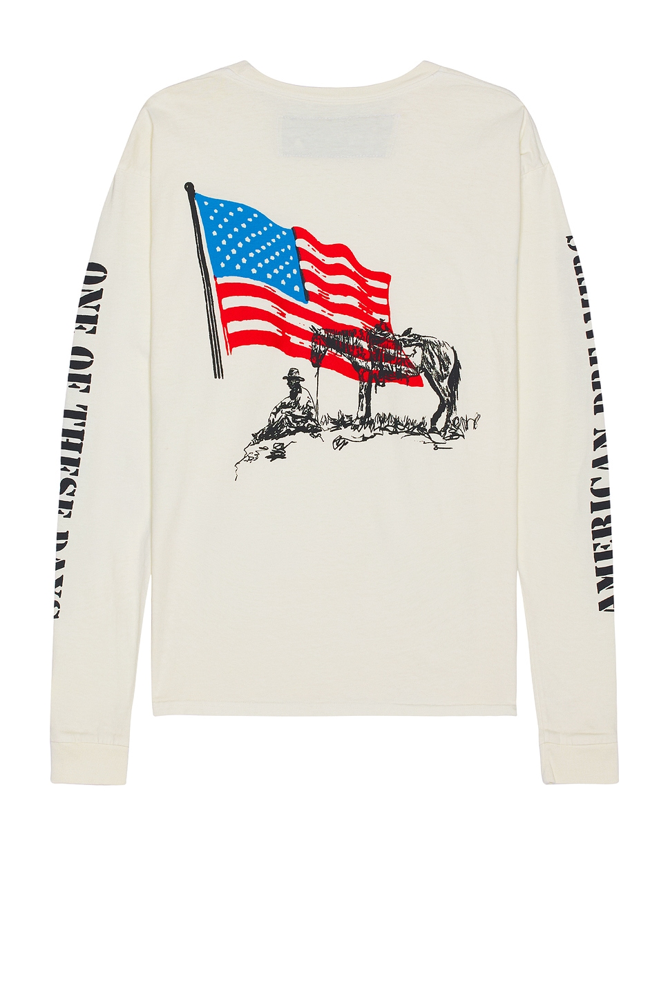 Image 1 of ONE OF THESE DAYS American Flag Cowboy in Bone