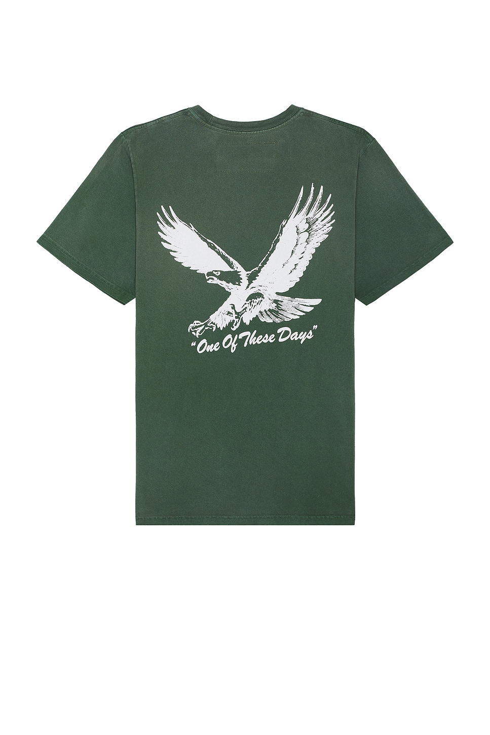 Image 1 of ONE OF THESE DAYS Screaming Eagle Tee in Washed Forest Green