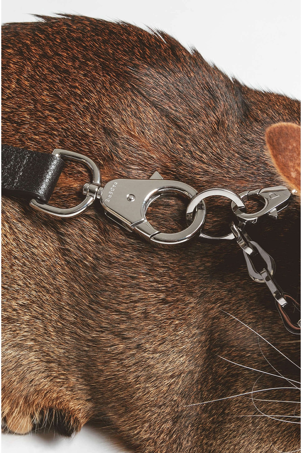 Pagerie The Ox Leash In Black
