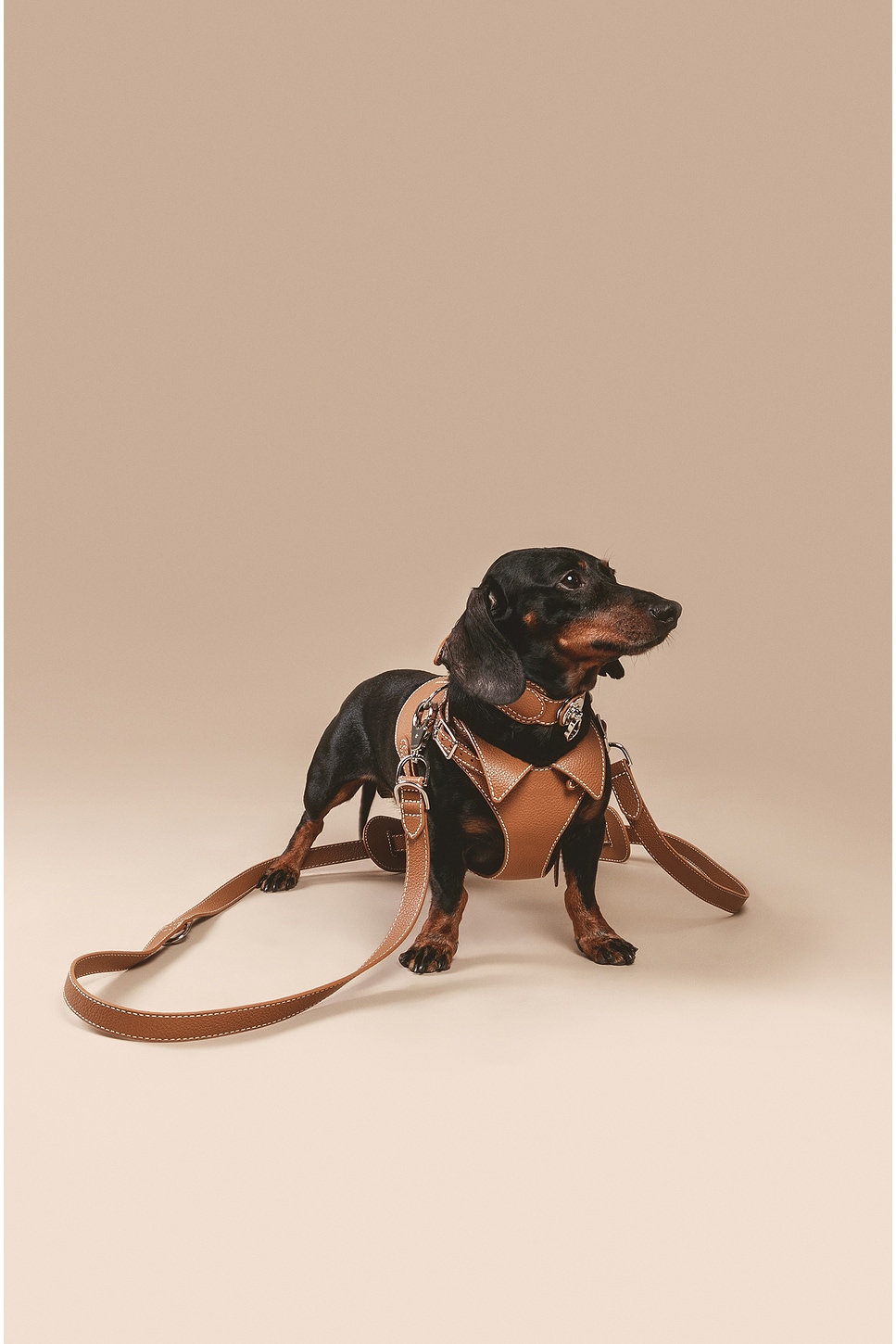 Pagerie The Tascher Leash In Saddle