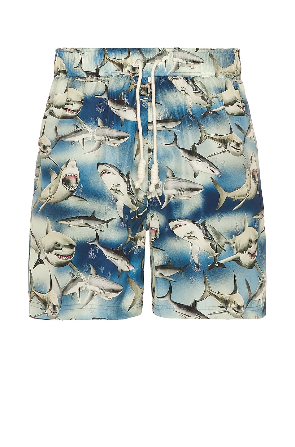 Image 1 of Palm Angels Sharks Swimshorts in Blue & Black