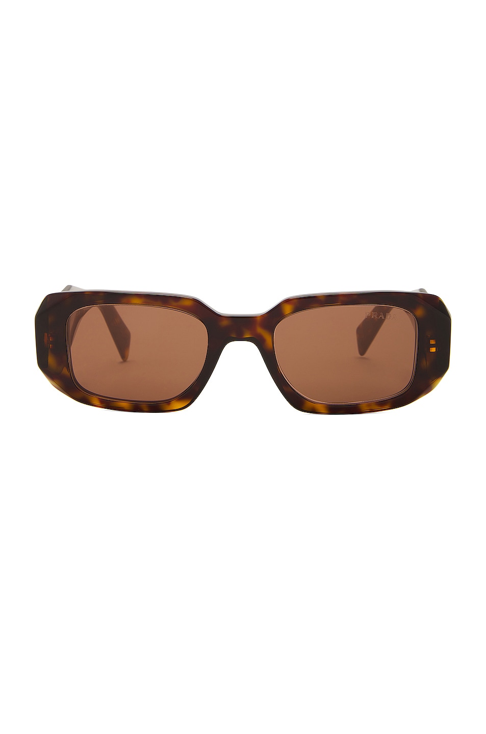 Oval Frame Sunglasses in Brown