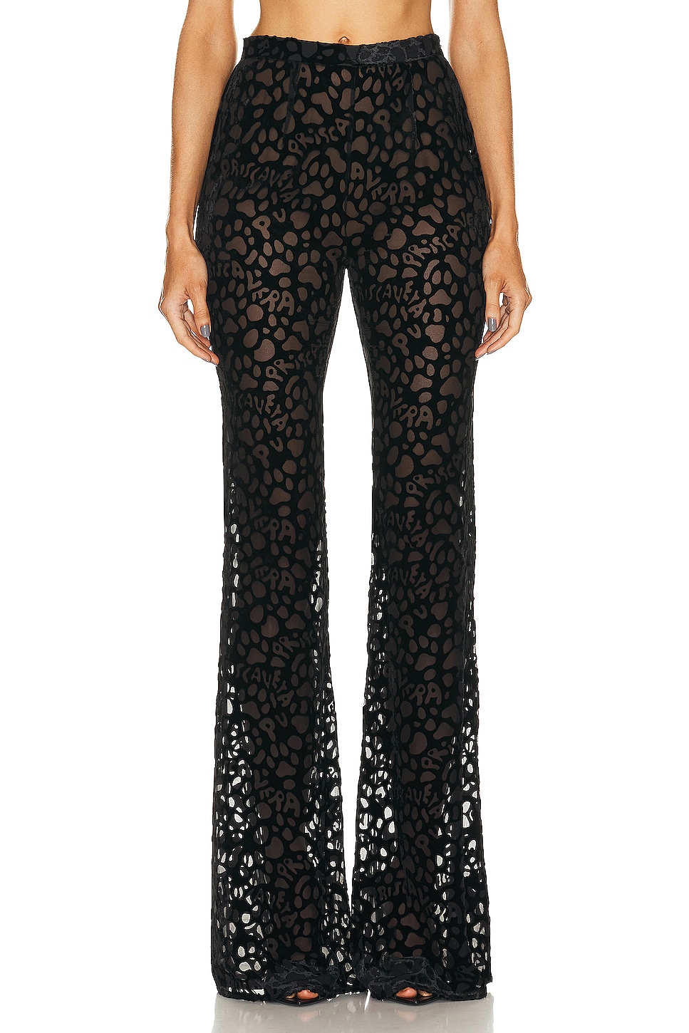 Image 1 of PRISCAVera Fitted Flared Pant in Black